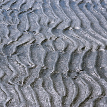 "Sand Grooves" - Patagonia